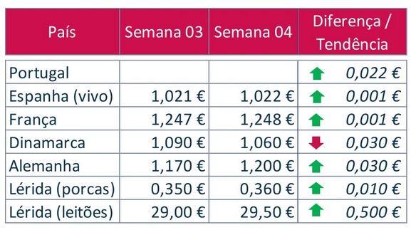bolsa porco
