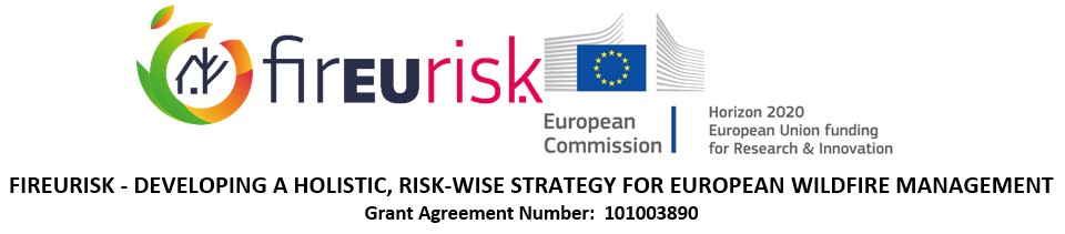 An Integrated Program of Wildfire Risk Management – The Case of Portugal
