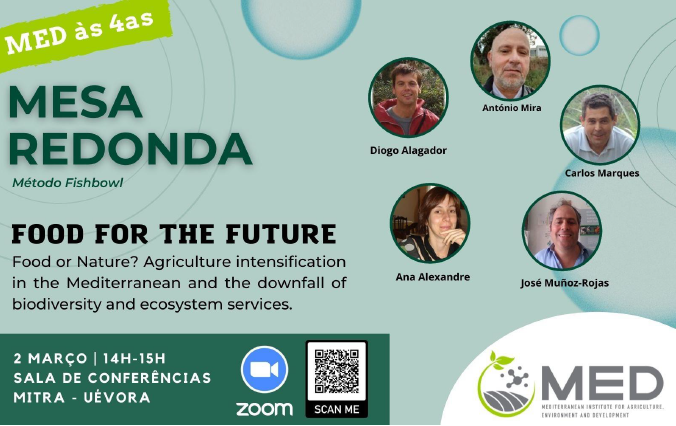 Mesa Redonda MED